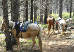 West Valley OET Members working on the Metolius-Windigo Trail